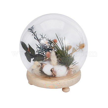 BENECREAT 5.9 inch Round Glass Cloche Ball Jar Dome with Wooden Base AJEW-WH0401-76B-1