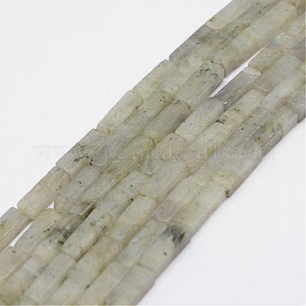 Natural Labradorite Beads Strands G-E342-13-1