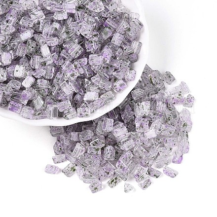 Прозрачные стеклянные бусины SEED-L011-10A-20-1