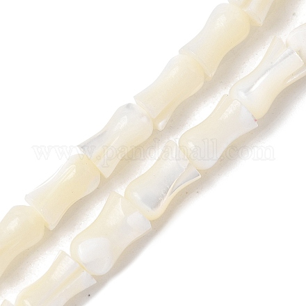 Нити бусин из натуральных трохоидных/трохус ракушек SHEL-XCP0001-11-1