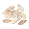 Natural Freshwater Shell Carved Pendants, Leaf Charms, Antique White, 41.5~42.5x17.5~18.5x2.5~3mm, Hole: 2.5~3mm