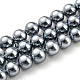 Brins de perles de coquillages naturels galvanisés SHEL-F008-03A-11-1