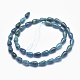 Natural Apatite Beads Strands G-K256-41A-2