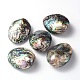 Perle ovali naturali di conchiglia di paua SSHEL-E562-01-1