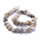 Natural Fossil Coral Beads Strands G-L505-21-3