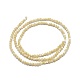 Chapelets de perles de coquillage G-A177-04-26-2