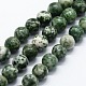 Natürliche grüne Fleck Jaspis Perlen Stränge, Runde, 10 mm, Bohrung: 1 mm, ca. 37 Stk. / Strang, 14.76 Zoll (37.5 cm)
