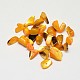 Dyed Natural Shell Nuggets Chips Beads BSHE-O007-04D-1