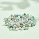 NBEADS 2 Strands About 286 Pcs Natural Flower Amazonite Beads G-NB0004-59-4