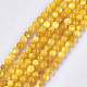 Perles de coquillage jaune brins SHEL-T012-50D-1