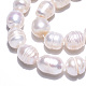 Natural Cultured Freshwater Pearl Beads Strands PEAR-N012-09E-5