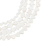 Benecreat 4 brins 4 styles brins de perles de coquille d'eau douce naturelles SHEL-BC0001-032-1