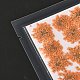 Gepresste Trockenblumen DIY-K032-58K-3