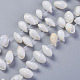 Natural White Shell Beads BSHE-G019-05-1