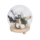 BENECREAT 5.9 inch Round Glass Cloche Ball Jar Dome with Wooden Base AJEW-WH0401-76B-1