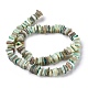 Freshwater Shell Beads Strands BSHE-O017-10D-1