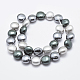 Chapelets de perles de coquille BSHE-F001-01-3