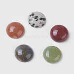 Кабошоны из камня, полукруглые / купольные, смешанный камень, 16x5 мм