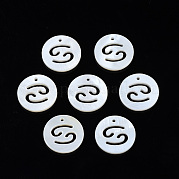Подвески из натуральных пресноводных ракушек SHEL-N027-10J
