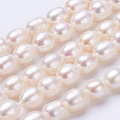 天然養殖淡水パールビーズ連売り  ライス  リネン  6~7x5~6mm  穴：0.5mm  約47個/連  13.39インチ