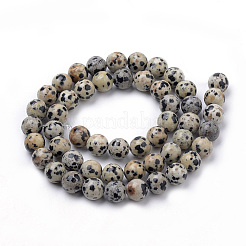 Dalmata naturale perline di diaspro fili&nbsp;X-G-S259-24-10mm