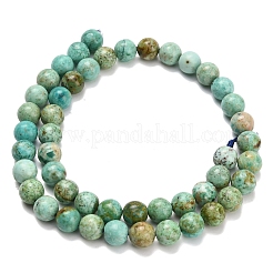Бусы натуральная перуанская бирюза (яшма) G-L642-B08-8mm