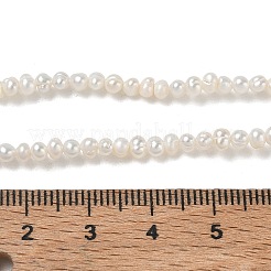 天然養殖淡水パールビーズ連売り  グレード2a++  ポテト  ベージュ  2~3mm  穴：0.1mm  約137~138個/連  14.96''（38センチメートル）&nbsp;PA-CBAC463-36