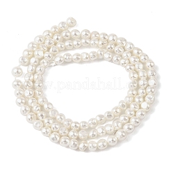 Гальванические оболочки жемчужные бусы пряди BSHE-M036-02C