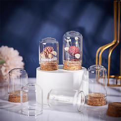 Крышка стеклянного купола 30 шт.&nbsp;AJEW-BC0002-14A