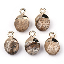 Natürliche Bild Jaspis Charms&nbsp;G-N326-58D