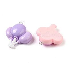 Подвески из непрозрачной смолы&nbsp;RESI-A028-05