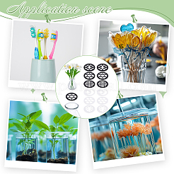 12шт 6 стиля акриловая банка для разведения топовых находок&nbsp;FIND-NB0006-60