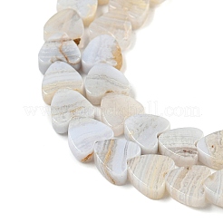 Натуральный голубой кружевной агат бисер нитей G-NH0001-B02-01