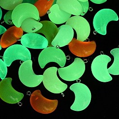 Светящиеся подвески смолы&nbsp;RESI-Z038-01P-02