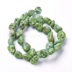 Fili di perline howlite naturale&nbsp;X-G-F592-01