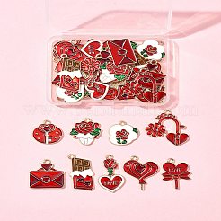 36 шт. 9 стиля подвески из сплава и эмали на тему Дня святого Валентина ENAM-FS0002-48-RS