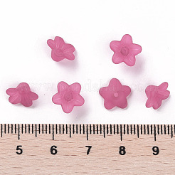 Прозрачные акриловые бусины PL554-04