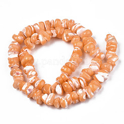 Naturali di acqua dolce perline shell fili&nbsp;SHEL-N003-23-B06