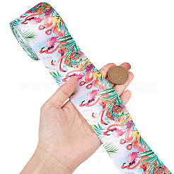 Ruban polyester imprimé 10 mètre&nbsp;OCOR-GF0002-47D