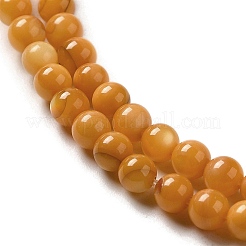 Eau douce naturelle de coquillage perles brins&nbsp;SHEL-H003-03E