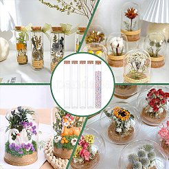 10 шт пустые стеклянные пробирки&nbsp;AJEW-BC0006-88B