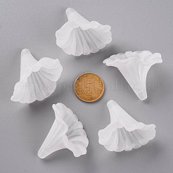 Прозрачные акриловые бусины BSF796