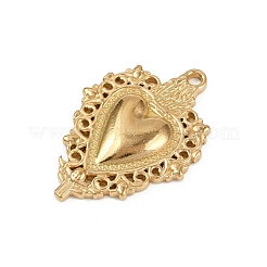 Pendentifs en acier inoxydable 304&nbsp;STAS-P390-02C-G