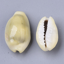 Perle naturali di conchiglia di ciprea&nbsp;X-SSHEL-N034-C-26