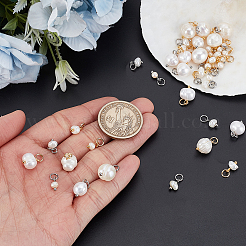 40 шт. 4 стиля натурального культивированного пресноводного жемчуга рисовые подвески&nbsp;PALLOY-GA00038