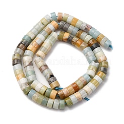 Brins de perles d'amazonite de fleurs naturelles&nbsp;LS-G-Z006-C49