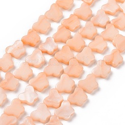 Нити бусин из натуральных пресноводных ракушек SHEL-H002-02