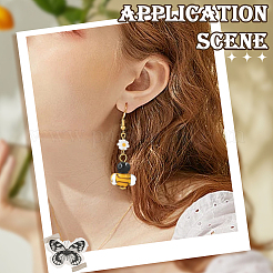 8шт ручной работы бусины лэмпворк&nbsp;LAMP-SC0001-60