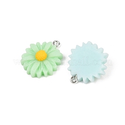 Подвески из непрозрачной смолы 10 шт.&nbsp;RESI-L051-01P