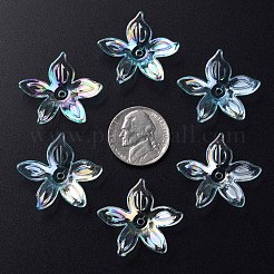 Прозрачные акриловые бусины&nbsp;MACR-S373-102-C05